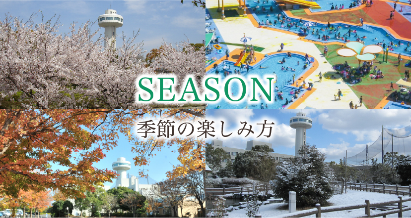 季節の楽しみ方　