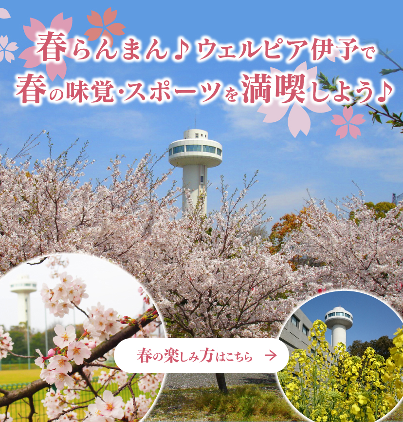 ウェルピア伊予